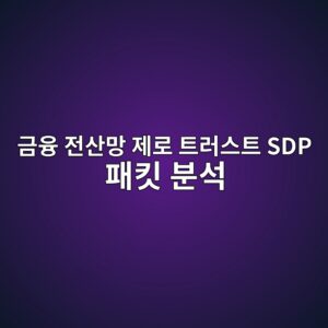 금융 전산망 제로 트러스트 SDP 패킷 분석 1 eab888ec9cb5 eca084ec82b0eba79d eca09ceba19c ed8ab8eb9facec8aa4ed8ab8 sdp ed8ca8ed82b7 ebb684ec849d 1790000240
